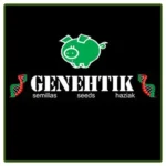 GENEHTIK SEEDS - SUPER SILVER BILBO FEM | 1 SEME