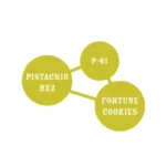 HUMBOLDT SEEDS COMPANY - PISTACHIO FEM - immagine 4