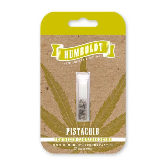 HUMBOLDT SEEDS COMPANY - PISTACHIO FEM - immagine 1