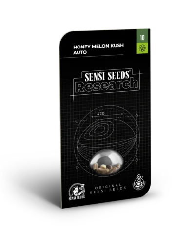 SENSI SAMEN FORSCHUNG - HONIG MELONE KUSH AUTO FEM | 3 SAMEN – Bild 2