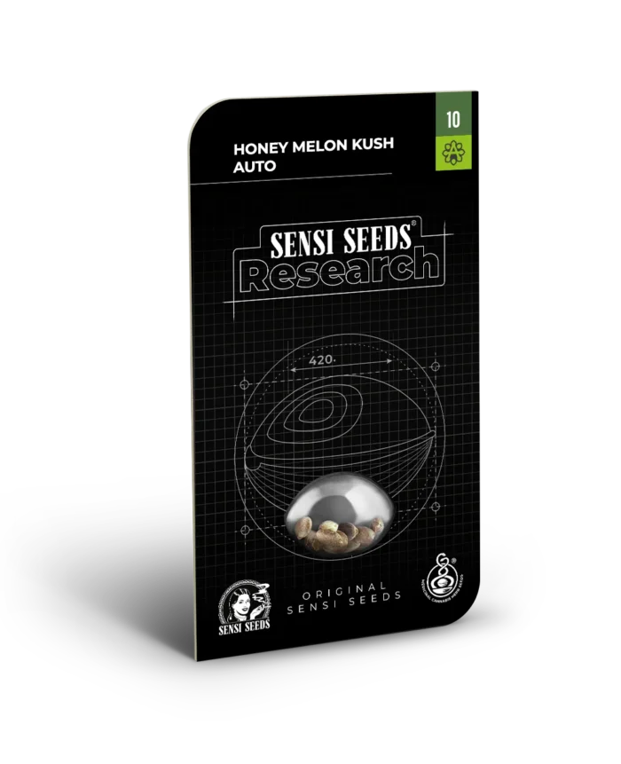 SENSI SAMEN FORSCHUNG - HONIG MELONE KUSH AUTO FEM | 3 SAMEN – Bild 1
