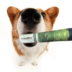 WEEDLEZ - SMOKING DOG TOY | GIOCATTOLO PER CANI
