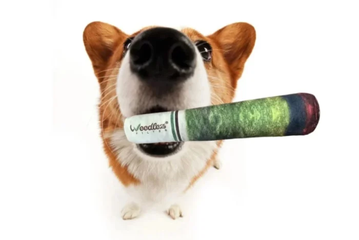 WEEDLEZ - SMOKING DOG TOY | GIOCATTOLO PER CANI - immagine 1