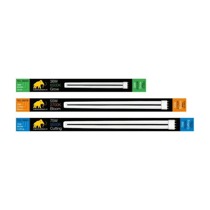 MAMMOTH - LAMPADA NEON TCL - immagine 1