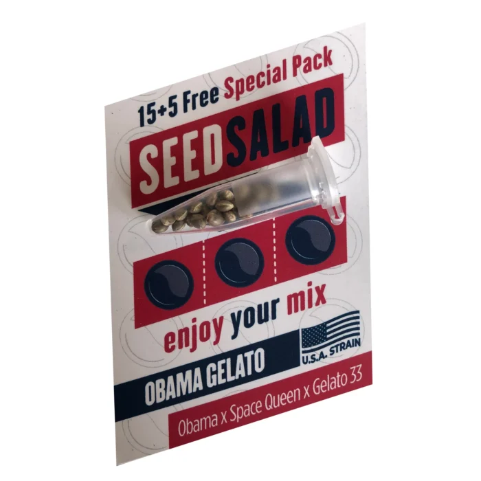 SEEDSALAD - OBAMA ICE CREAM FEM (USA STRAIN) - Image 1