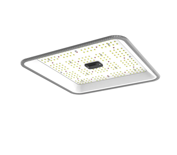 ORTOLED - QUANTUM FULL CYCLE 60W 2.7 | 60W SAMSUNG - Imagen 3