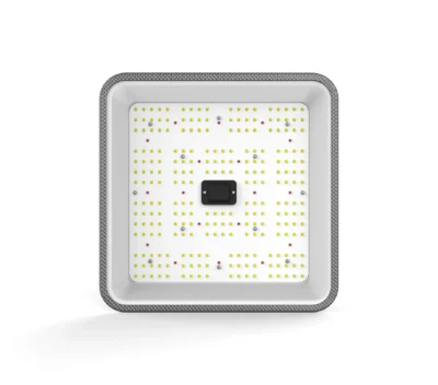 ORTOLED - QUANTUM FULL CYCLE 60W 2.7 | 60W SAMSUNG - immagine 6
