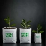 PANDORA'S POT - VASO IN PLASTICA LEGGERA 50pz. | 22x24x47h cm - 18L - Imagen 3