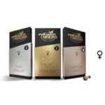 GRAINES DE PARADIS - DUTCH KUSH FEM – Image 2