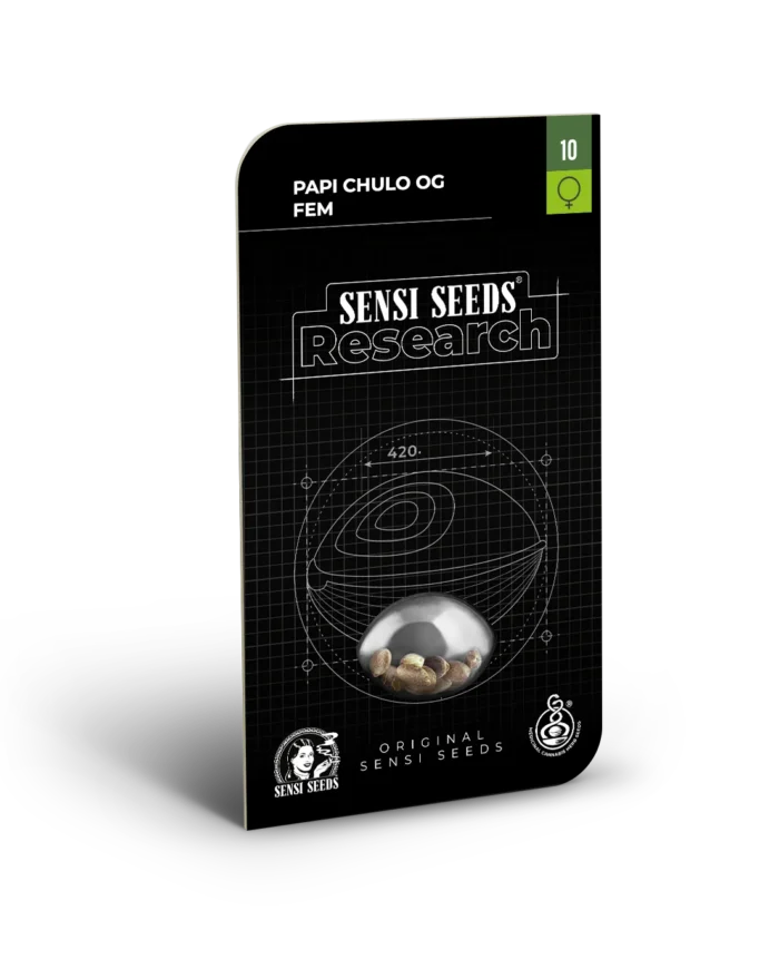 SENSI SEEDS RESEARCH - PAPI CHULO OG FEM | 3 SEMI - immagine 1