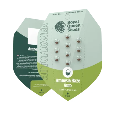 ROYAL QUEEN SEEDS - AMNESIA HAZE AUTO - Image 2