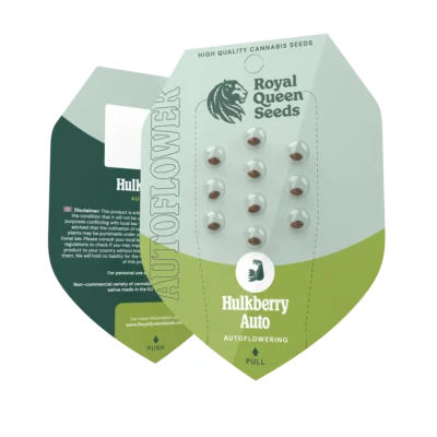 ROYAL QUEEN SEEDS - HULKBERRY AUTOMATIC FEM (USA PREMIUM) - Image 2