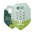 ROYAL QUEEN SEEDS - ROYAL AK AUTOMATIC – Image 2