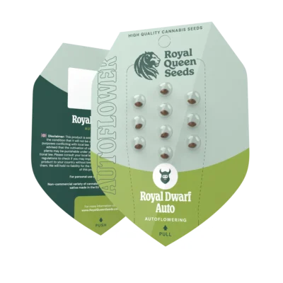 ROYAL QUEEN SEEDS - ROYAL DWARF AUTO - immagine 2