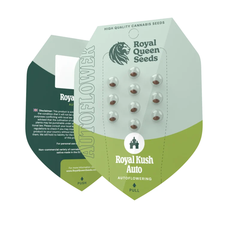 ROYAL QUEEN SEEDS - ROYAL KUSH AUTOMATIC FEM – Bild 2