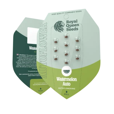 ROYAL QUEEN SEEDS - WATERMELON AUTOMATIC FEM (USA PREMIUM) – Bild 2