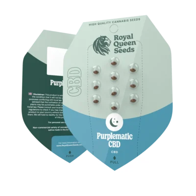 SEMILLAS ROYAL QUEEN - PURPLEMATIC CBD AUTO - Imagen 2