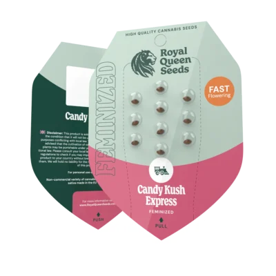 ROYAL QUEEN SEEDS - CANDY KUSH EXPRESS FAST FEM – Bild 2
