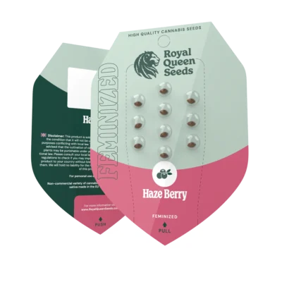 ROYAL QUEEN SEEDS - HAZE BERRY FEM – Bild 2