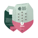 ROYAL QUEEN SEEDS - MIMOSA FEM (USA PREMIUM) - immagine 2