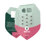 ROYAL QUEEN SEEDS - ROYAL AK FEM – Image 2