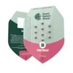 ROYAL QUEEN SEEDS - SOUR DIESEL FEM - immagine 2