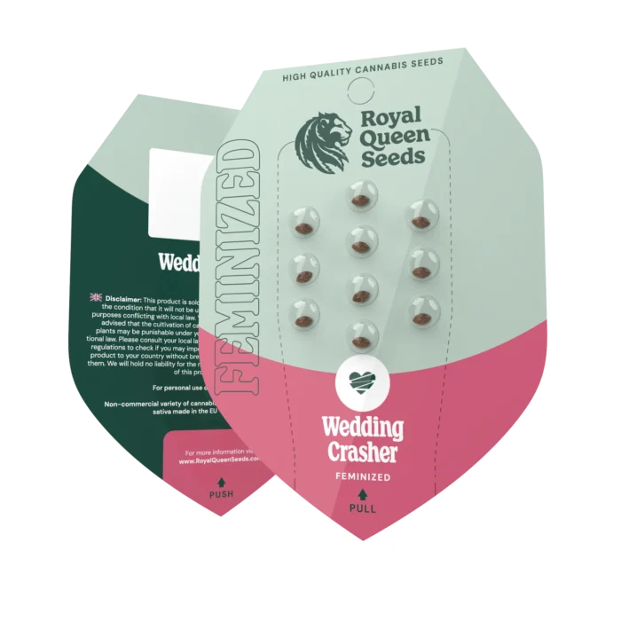 ROYAL QUEEN SEEDS - WEDDING CRASHER FEM (USA PREMIUM) – Image 2