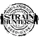 STRAIN HUNTER - WHITE STRAWBERRY SKUNK FEM | 5 SEMI