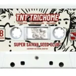 SUPER SATIVA SEED CLUB - TNT TRICHOME FEM