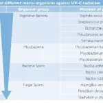 CLEANLIGHT HOBBY UNIT 11W - ELIMINA FUNGHI VIRUS E BATTERI