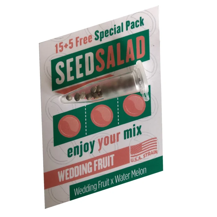 SEEDSALAD - WEDDING FRUIT FEM (USA STRAIN) - Image 1