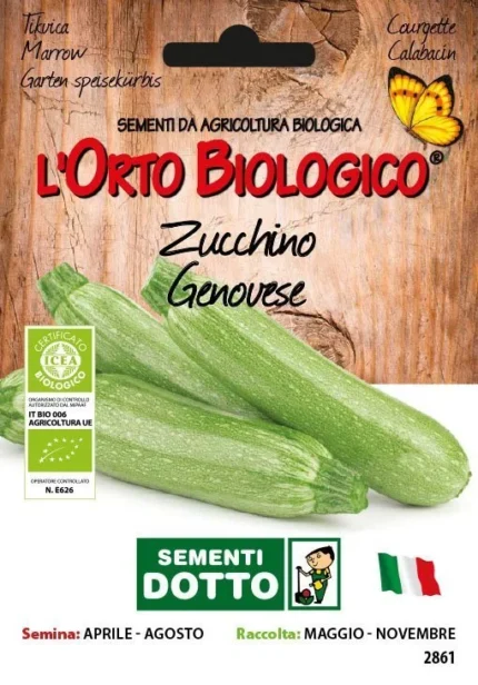 ZUCCHINO GENOVESE ORTO BIOLOGICO DOTTO SEMENTI