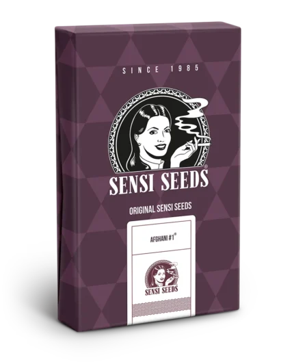 SENSES SEEDS BANK - AFGHANI #1 FEM