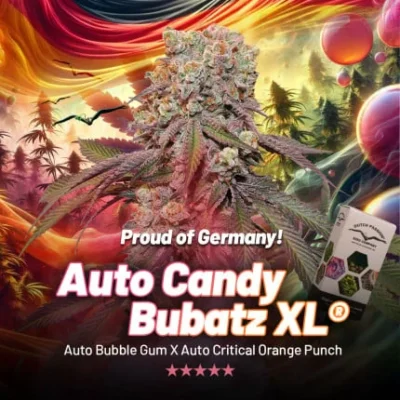 DUTCH PASSION - AUTO CANDY BUBATZ XL FEM – Bild 3