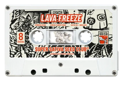 SUPER SATIVA SEED CLUB - LAVA FREEZE FEM