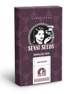 SENSI SEEDS BANK - BLACK HARLEQUIN FEM