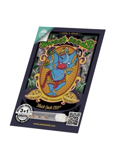 GRAINES DOUCES - BLACK JACK CBD FEM (SWS68) – Image 2
