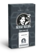 SENSI SEEDS BANK - BLUE BULLET AUTO FEM (Sensi #119)