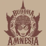 BUDDHA SEEDS - BUDDHA AMNESIA CLASSIC FEM - Image 2