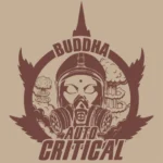 BUDDHA SEEDS - BUDDHA AUTO CRITICAL CLASSIC FEM - immagine 2