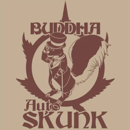 BUDDHA SEEDS - BUDDHA AUTO SKUNK CLASSIC FEM