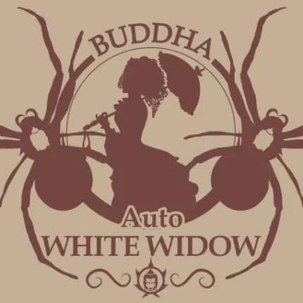 BUDDHA SEEDS - BUDDHA AUTO WHITE WIDOW CLASSIC FEM
