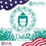 BUDDHA SEEDS - BUDDHA DOSI2 FEM - immagine 2
