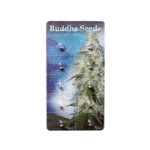 BUDDHA SEEDS - PULSAR FEM | BLISTER 1x10 SEMI - immagine 3