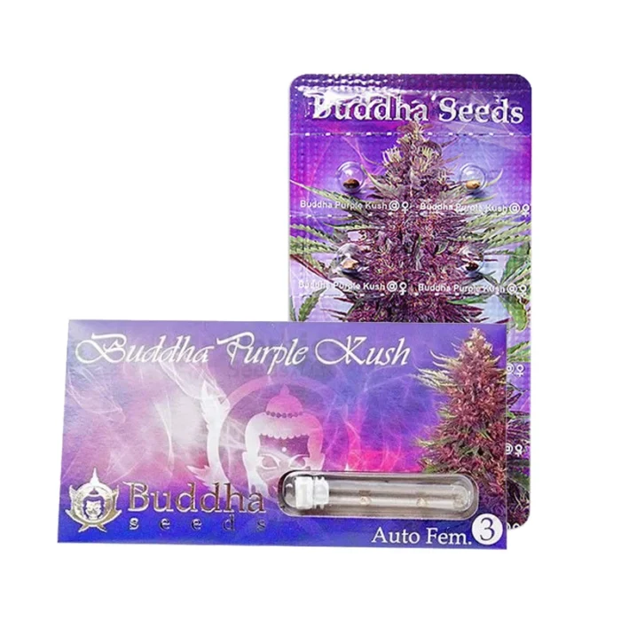 BUDDHA SEEDS - PURPLE KUSH AUTO FEM - immagine 1