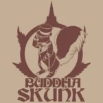 BUDDHA SEEDS - BUDDHA SKUNK CLASSIC FEM - Imagen 2
