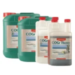 CANE - COGR FLORES A+B