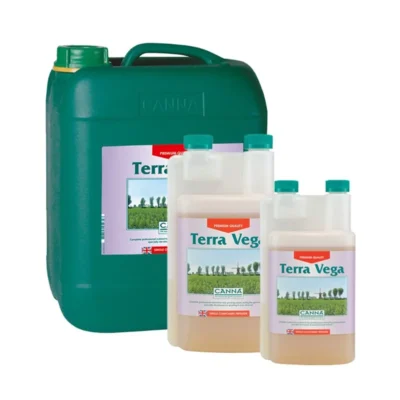 CANNA - TERRA VEGA - immagine 1