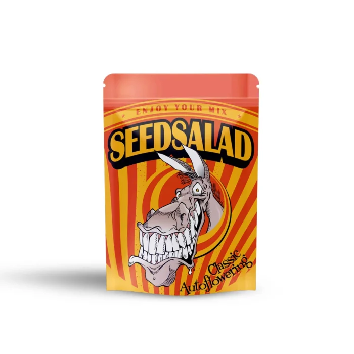 SEEDSALAD - AUTO AK XXL FEM - Image 1