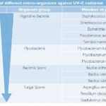 BULBO DI RICAMBIO PER CLEANLIGHT HOBBY UNIT 11W
